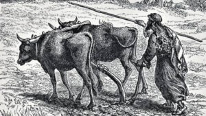 The Wonderful Plough (Scandinavia)