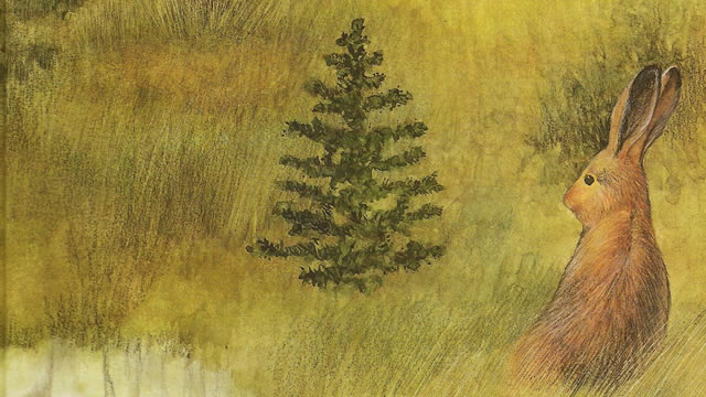 The Fir Tree (Hans Christian Andersen)